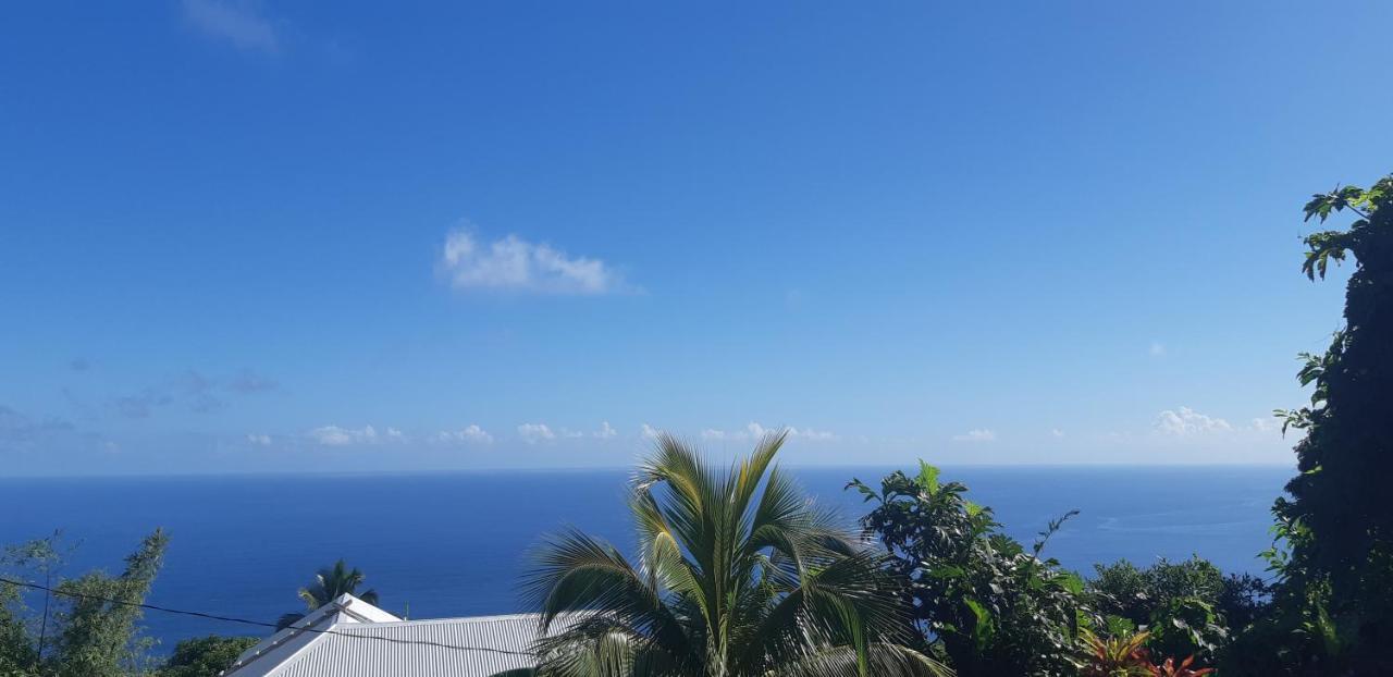 "Sunrise Inn" Nature Island Dominica Penville Esterno foto