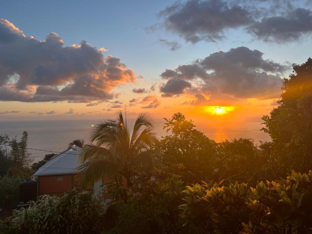 "Sunrise Inn" Nature Island Dominica Penville Esterno foto