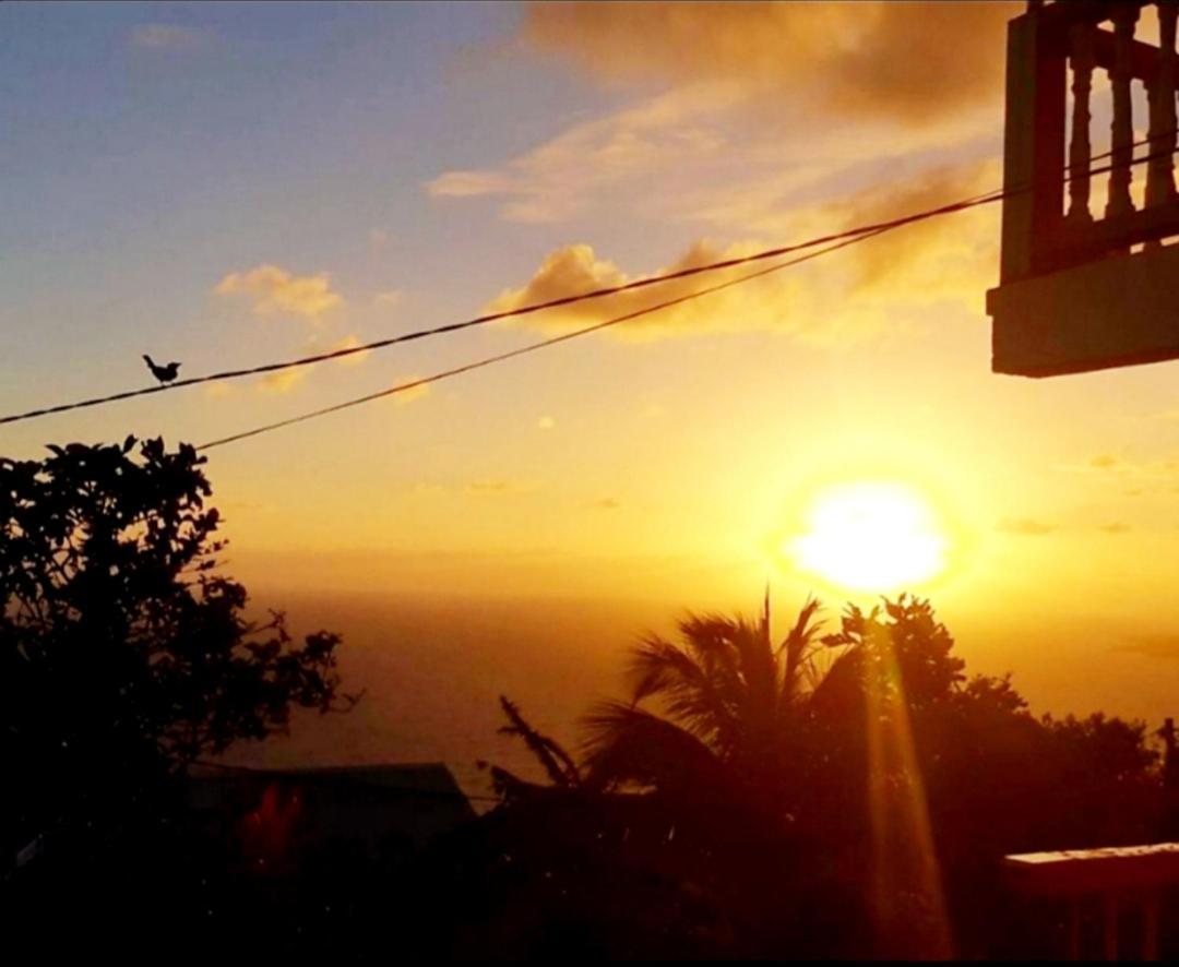 "Sunrise Inn" Nature Island Dominica Penville Esterno foto